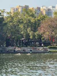 打卡荔灣湖公園 邂逅嶺南水鄉