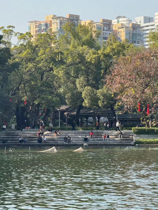 打卡荔灣湖公園 邂逅嶺南水鄉