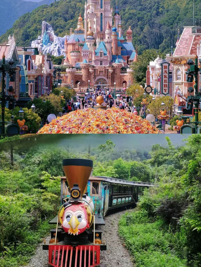 假期去上海，看這一條就夠了