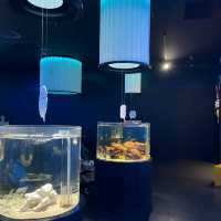 太美了！這家水族館做成了藝術展館！