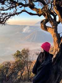 我們的星球如此美麗bromo攻略篇