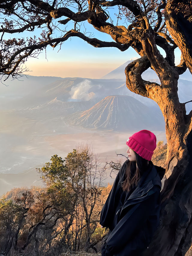我們的星球如此美麗bromo攻略篇