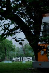 武漢江夏呢個神仙級別嘅度假村太舒服啦