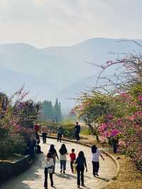 攀枝花 南山賓館