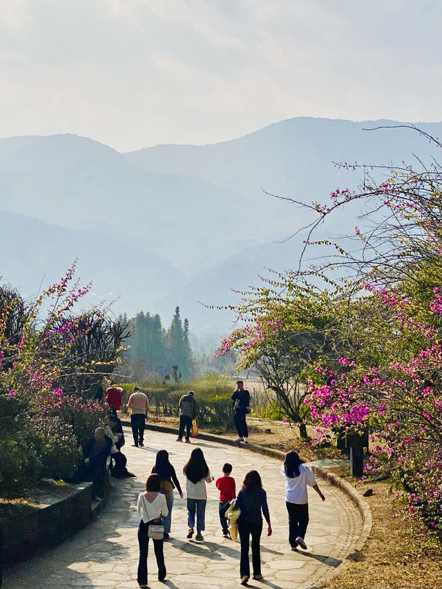 攀枝花 南山賓館