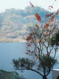 靈魂棲息所 | 武夷山漫武夷設計師美宿