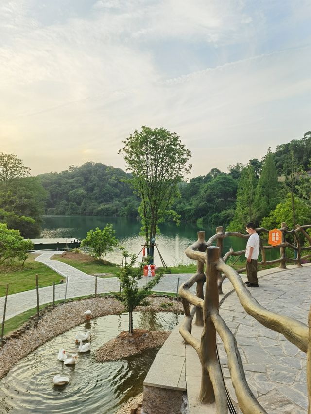 喺武漢周邊，同長頸鹿食早餐，打卡明星同款長頸鹿莊園！