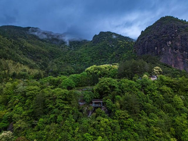旗山俠隱·深呼吸：30000個/立方厘米​負氧離子