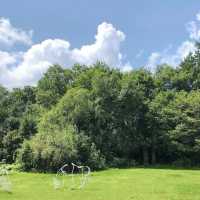 6日長春-延邊遊小長假玩轉熱門風景