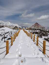 四月到祁連睇雪