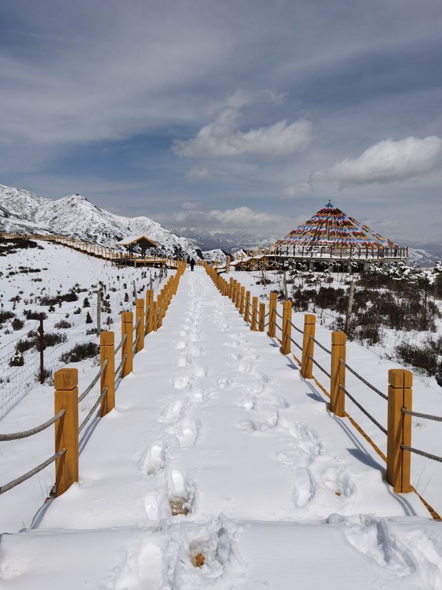 四月到祁連睇雪