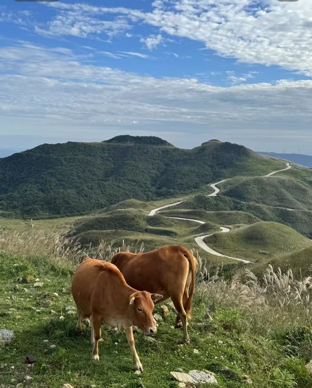 探索山野清新之旅