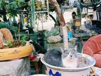 Huimin Street: A Culinary and Cultural Gem in Xi’an