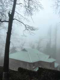 白雲悠悠之莫干山