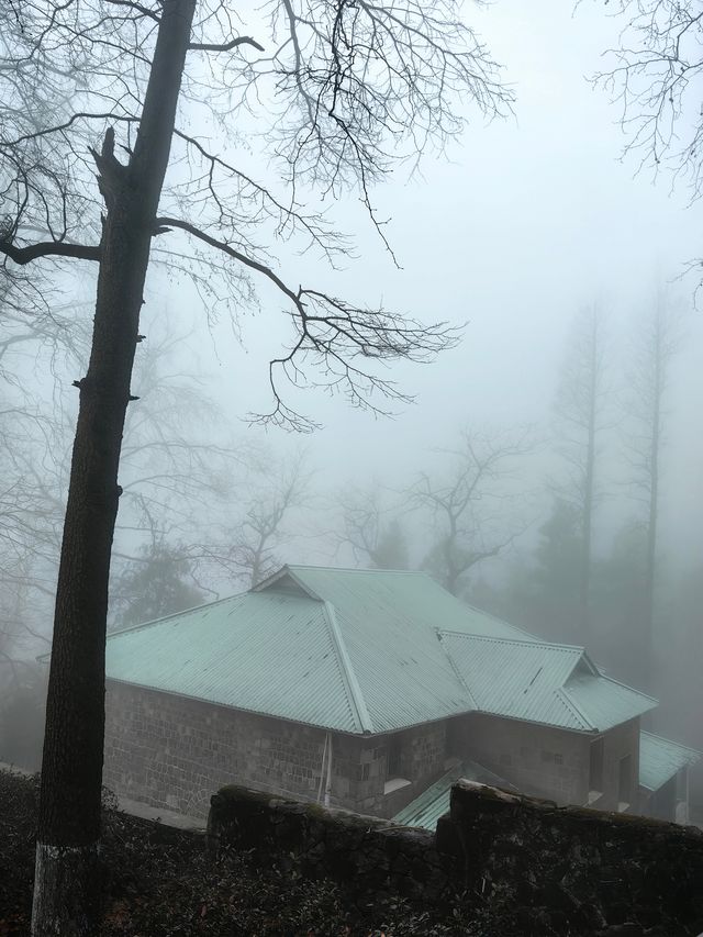 白雲悠悠之莫干山