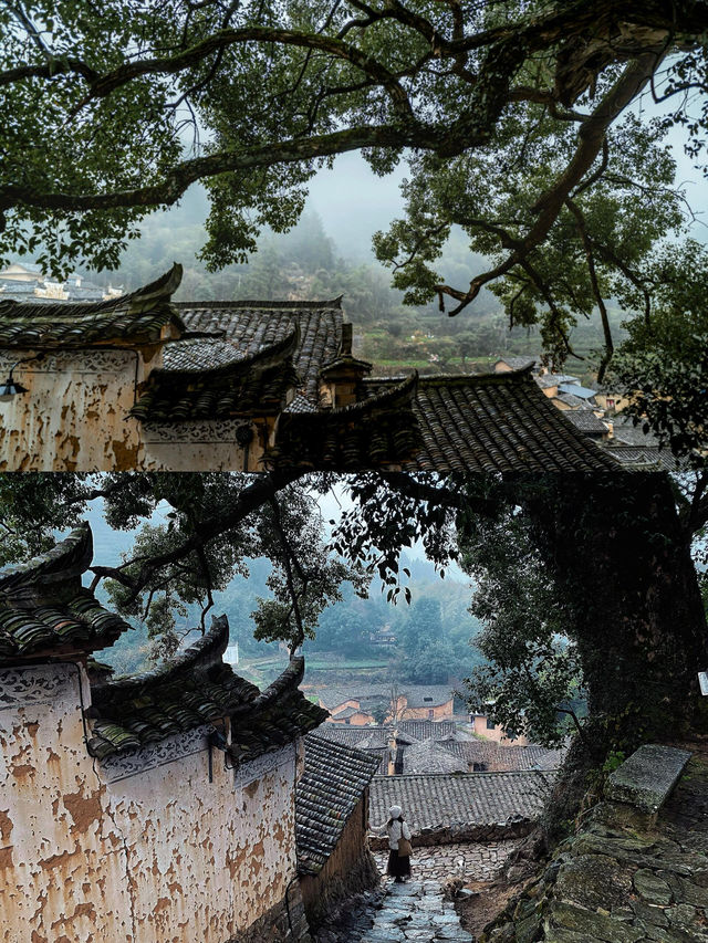 麗水·松陽～江南最後嘅秘境