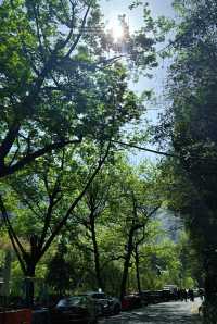 江浙滬徒步  一幅優美嘅富春山居圖