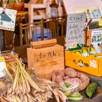 🇭🇰專程從澳門來打卡香港｜闖入霍比特人的精靈小屋！！鏡蓉書屋