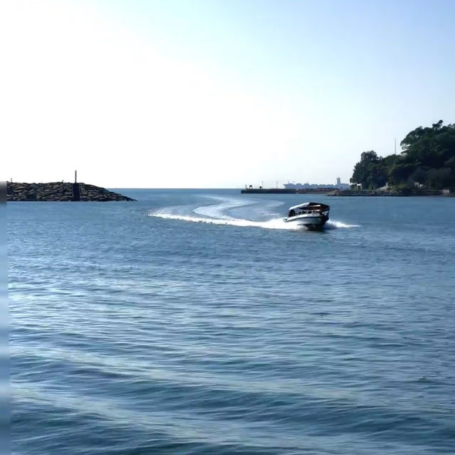 從澳門出發衝香港大澳漁村🌊！40蚊換一場金光閃閃的海上奇遇