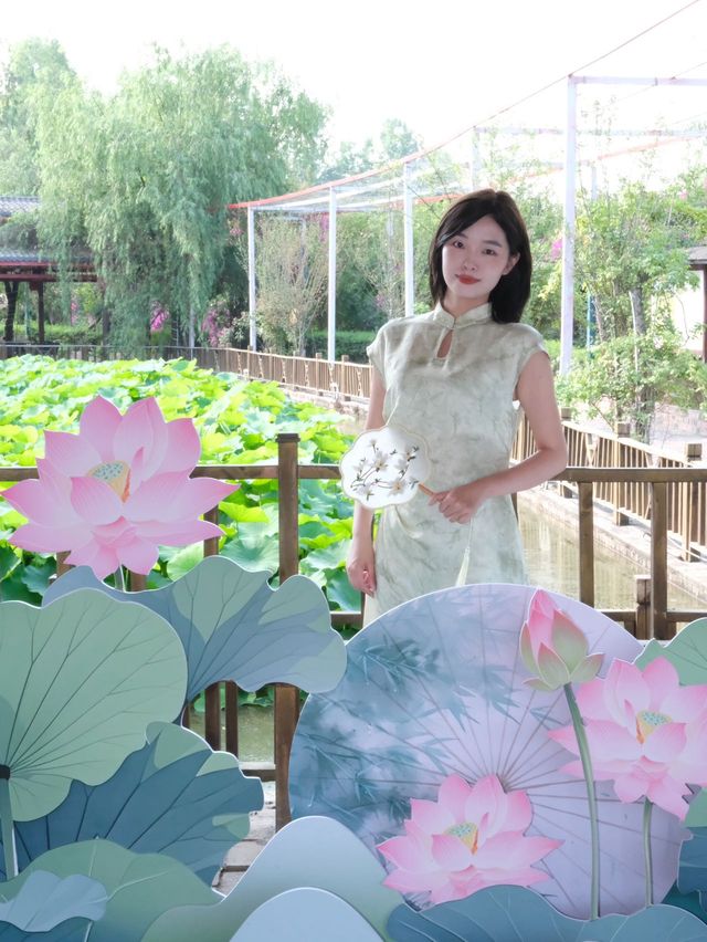 成都周邊｜屬於新津千畝荷塘嘅浪漫