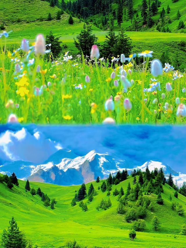 聽我講！6~8月必去川西，唔去實後悔