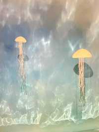 雨天影相絕佳，蕪湖探店新去處！