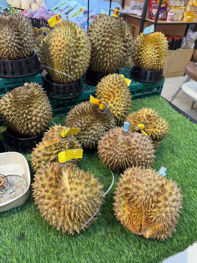瑞麗観光