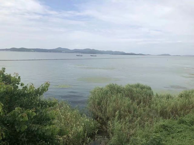 《探秘東太湖：濕地、碧波與人文交織嘅江南秘境》