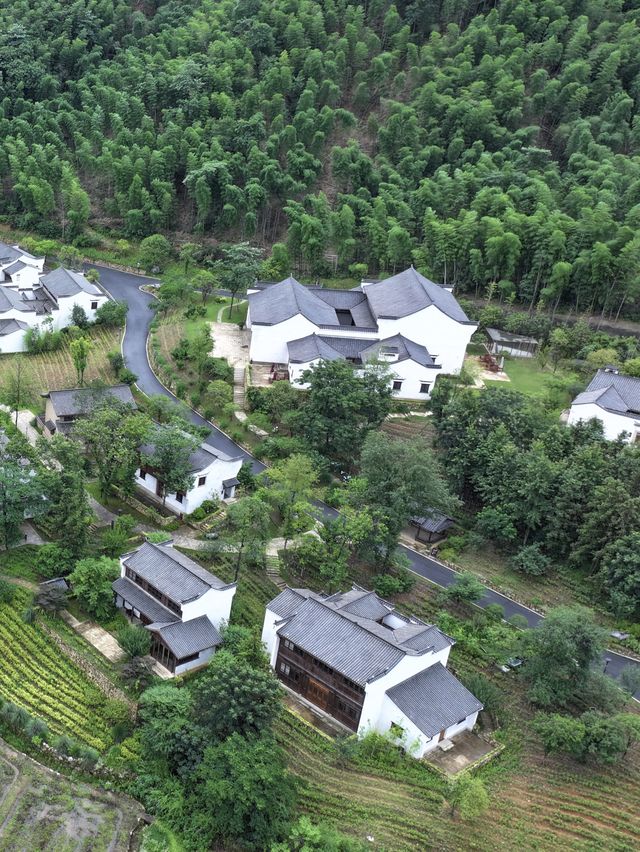 山野來信｜在[文宗古村]捕捉一場心動的風