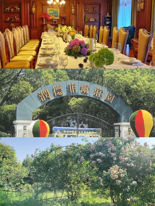 被驚艷到！六月揚州花海發pyq被問爆地址