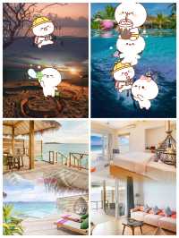 【馬爾代夫遺世島嶼｜太陽島伊露維利的深海夢境實錄】