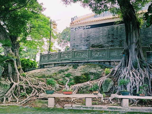 The Mountain's Whisper: Seeking Tao in Guizhou's Wild Embrace