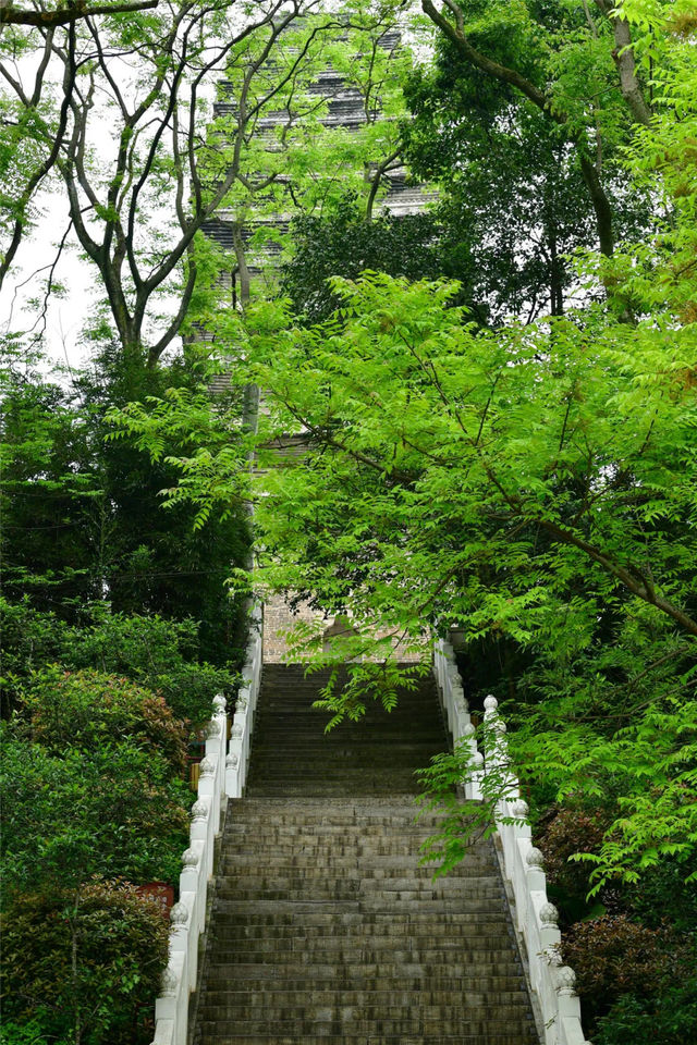 喺樂山，仲有咁一個療癒自我嘅空間