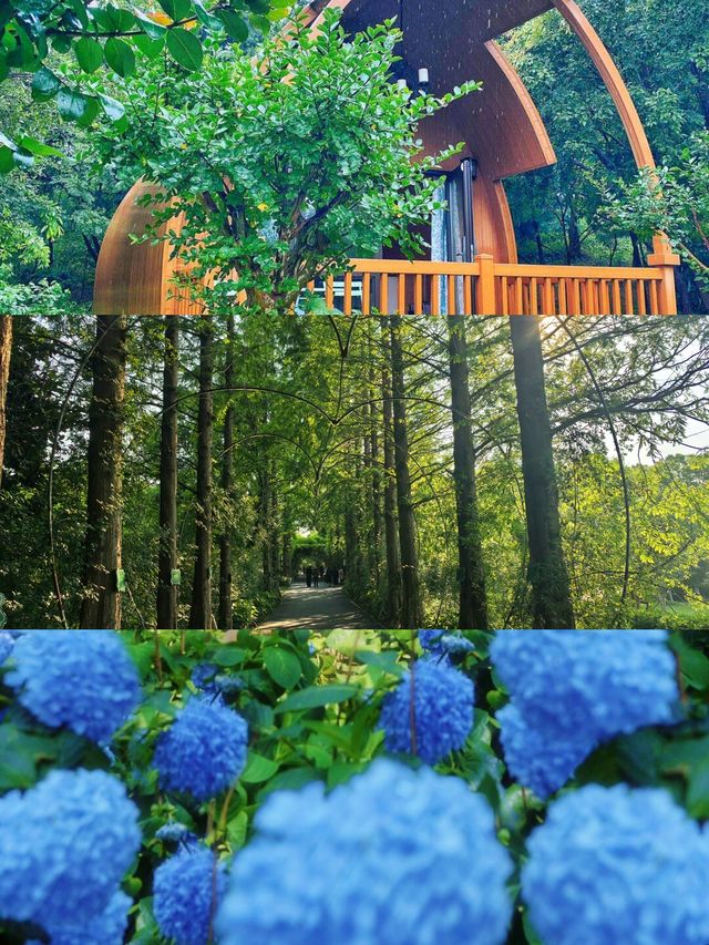 早該嚟揚州！夏日避暑，森林花海靚到入心