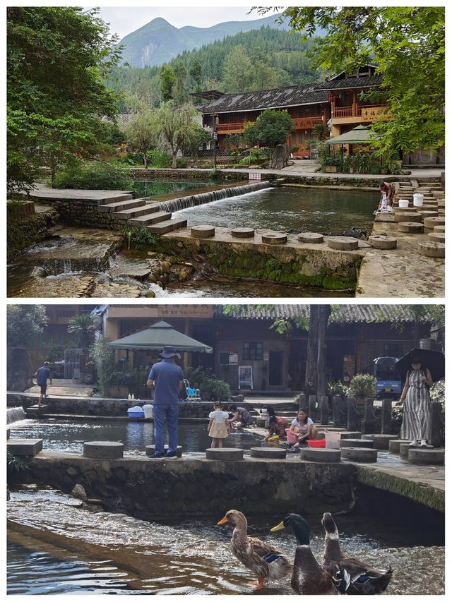 剛從雲舍村返嚟，講啲難聽嘅大實話