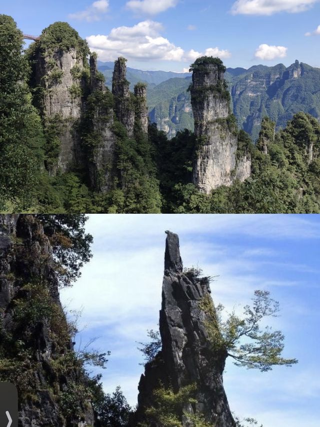 走進宜昌柴埠溪，邂逅北緯30°的綠野仙蹤