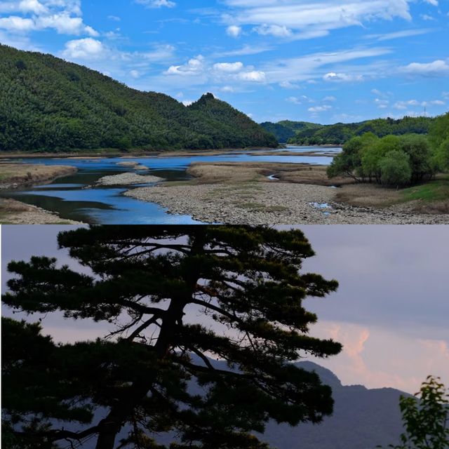《臥虎藏龍》同款竹海！安吉大竹海，連呼吸都係綠色嘅！