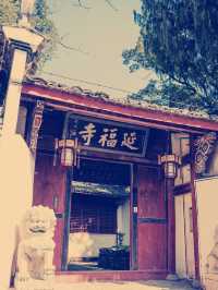 浙江省武義県「延福寺」～千年の歴史と美しい自然が融合する秘境寺院ガイド～**