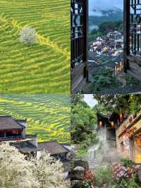 - 婺源：一半係金黃花海，一半係水墨古村