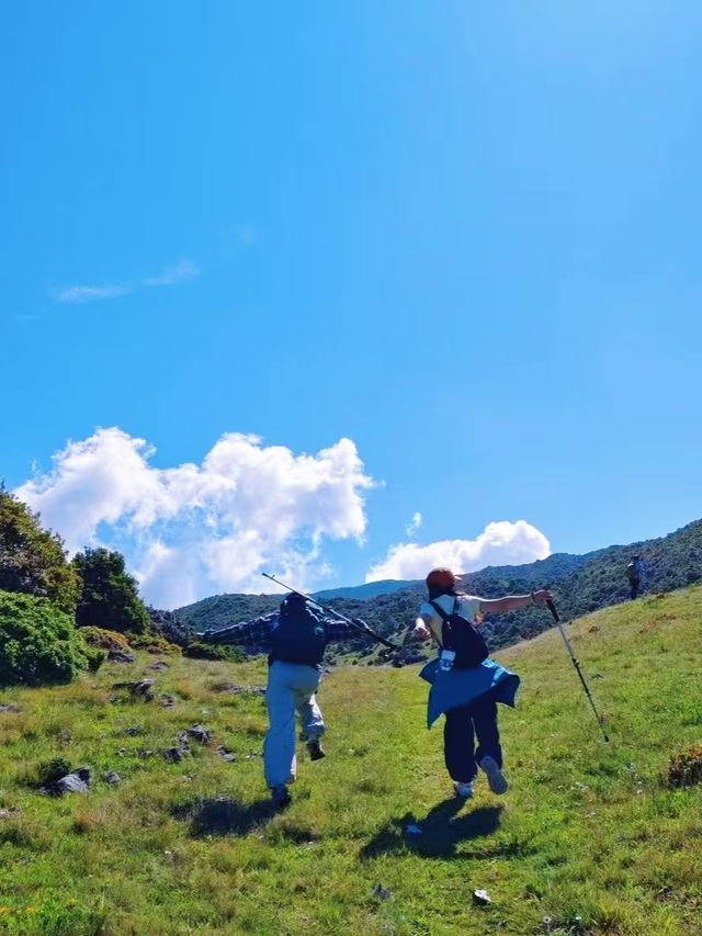 大理花甸壩