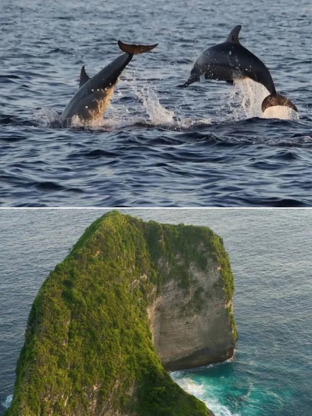 暑假海島體驗！6日5夜攻略