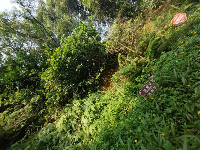 《河畔小憩，遇見公明的慢調時光》
