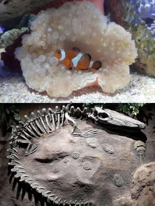 青島親子遊 | 帶小朋友暢玩+美味水餃兩不誤
