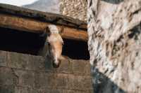 避世天堂|最後嘅納西秘境·木里俄亞