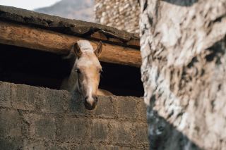 避世天堂｜最後嘅納西秘境·木里俄亞