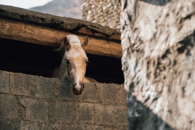 避世天堂|最後嘅納西秘境·木里俄亞 避世天堂|最後嘅納西秘境·木里俄亞