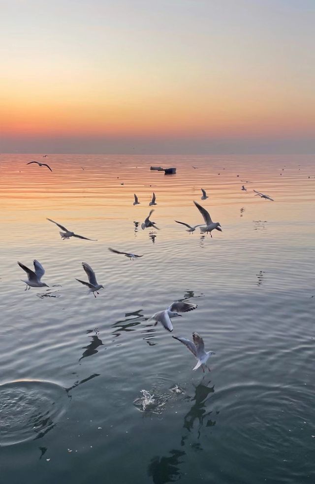 【青山黛日落 | 從上海出發嘅浪漫一日逃離計劃】