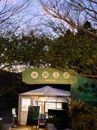 絕美童話世界！東京近郊箱根玻璃之森美術館必訪攻略】**  