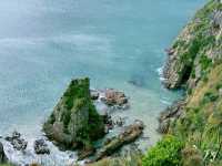Nugget Point遊覽攻略：新西蘭南島的隱秘海角