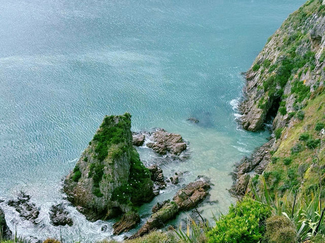Nugget Point遊覽攻略：新西蘭南島的隱秘海角